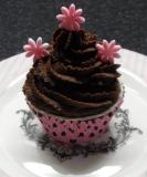 Schoko-Cupcake.jpg